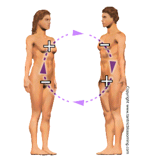 File:Figures anim.gif